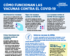 How COVID-19 Vaccines Work — Spanish