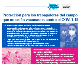 Protection for Unvaccinated Agricultural Field Workers — Spanish
