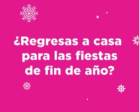 Going Home for the Holidays - :15 — Spanish