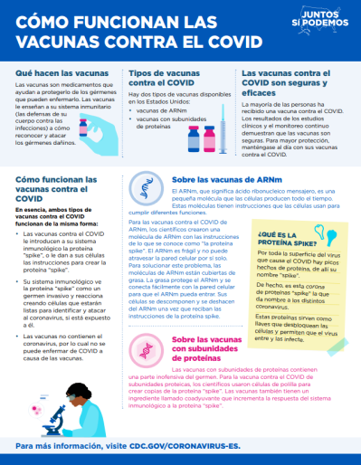 How COVID-19 Vaccines Work — Spanish
